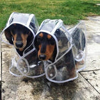 Transparent Waterproof Raincoat for Dogs - DryPaw
