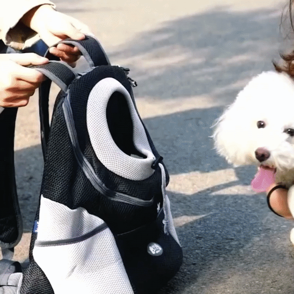 PawCarry – Together everywhere on the go