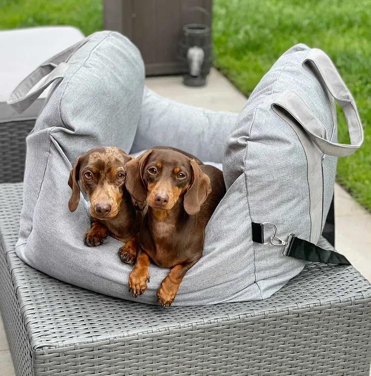 Travelpup – Dog Seat Bed for Safe & Comfortable Car Rides
