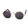 Trendy Cat Sunglasses - KittyShades