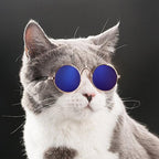 Trendy Cat Sunglasses - KittyShades