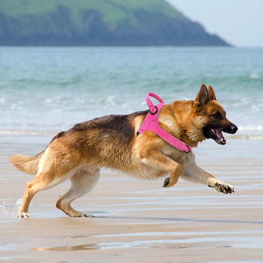 TruHarness - No Pull Dog Harness