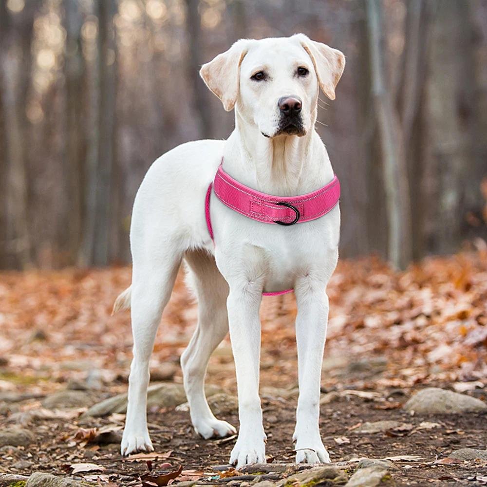 TruHarness - No Pull Dog Harness