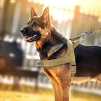 TruHarness - No Pull Dog Harness