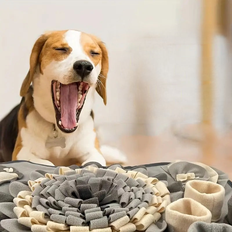 Turn Mealtime into a Sniffing Adventure – Buddy Snuffle Mat