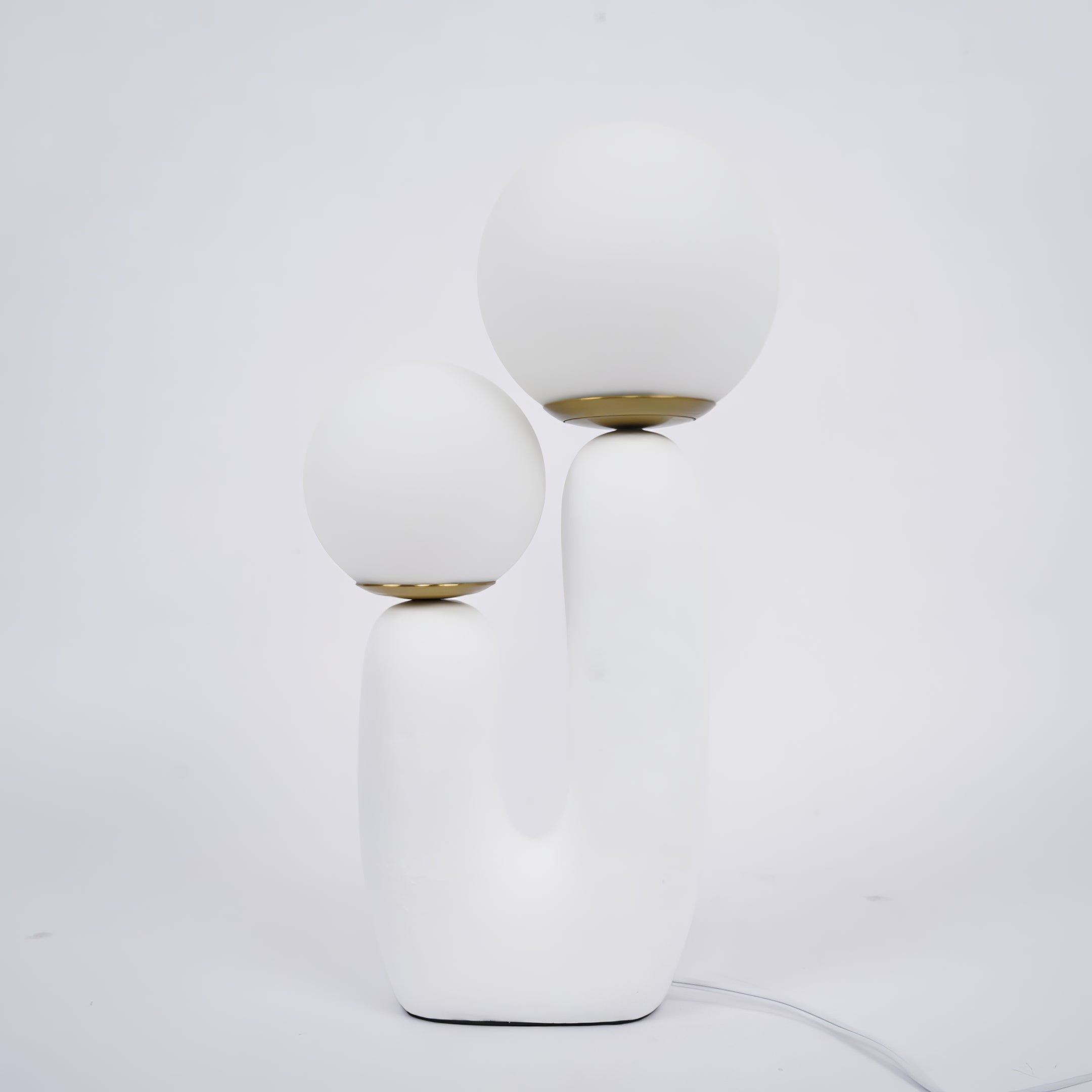 Contemporary Style Table Lamp with Natural Accent
