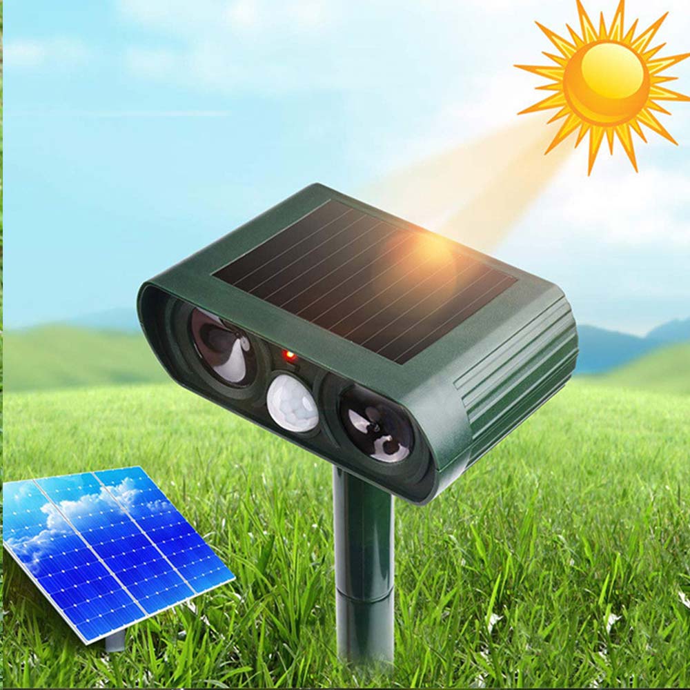 AviGuard Luxe Solar Ultrasound Deterrent | Effective deterrence of birds and animals for serene outdoor spaces