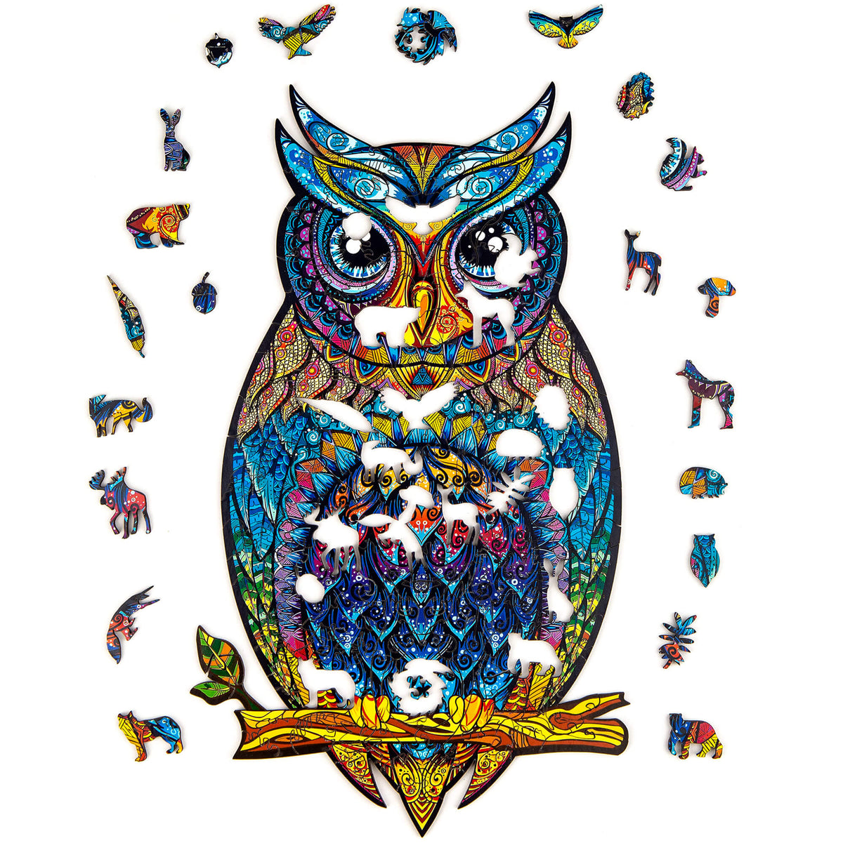 The graceful owl