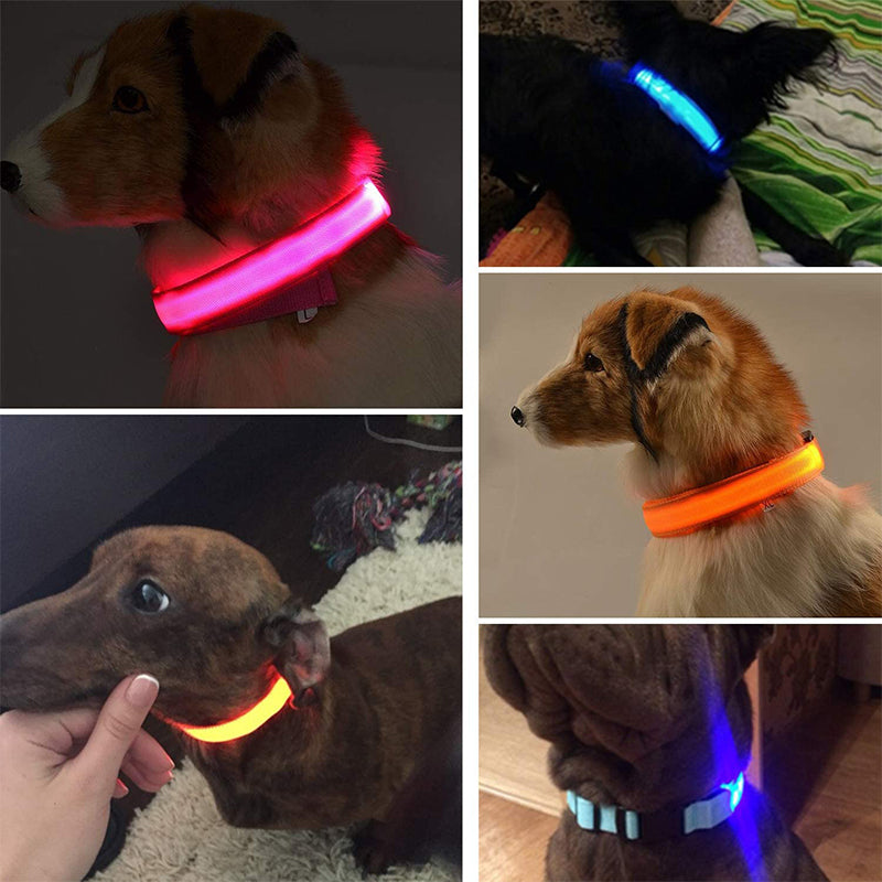 Luminous Animal Collar with LED Light – Rechargeable, Waterproof, Adjustable Fit for Enhanced Safety at Night