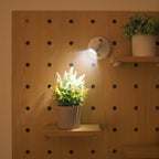 LED Spotlight Adjustable Wall Mounted