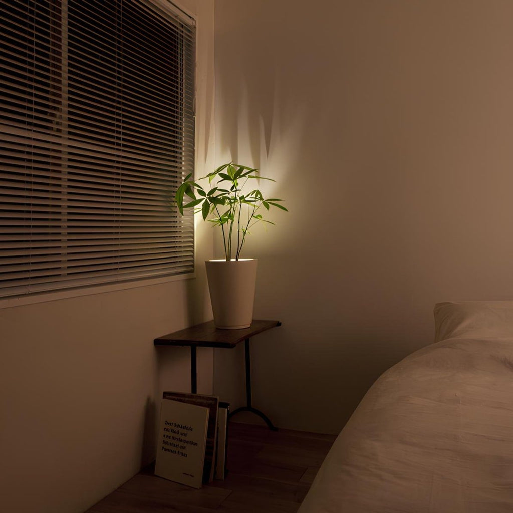 LED Spotlight Adjustable Wall Mounted