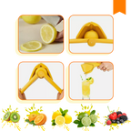 Versatile Manual Citrus Press