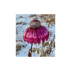 Flower-shaped Bird Feeder | Beautiful in the garden & fun for the little birds