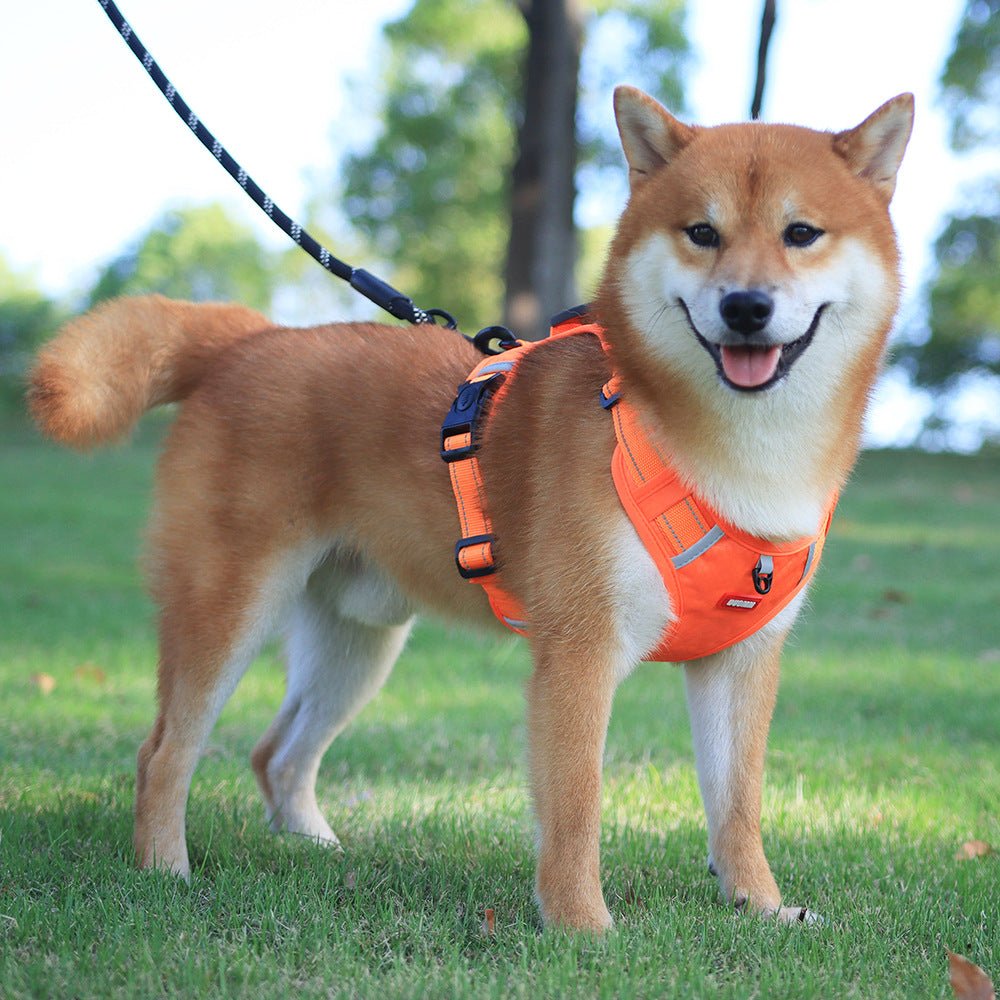WalkEase Harness – Anti-pull dog harness for relaxed walks & healthy posture