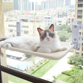 Wall-Mounted Hammock for Pets - SkyNap