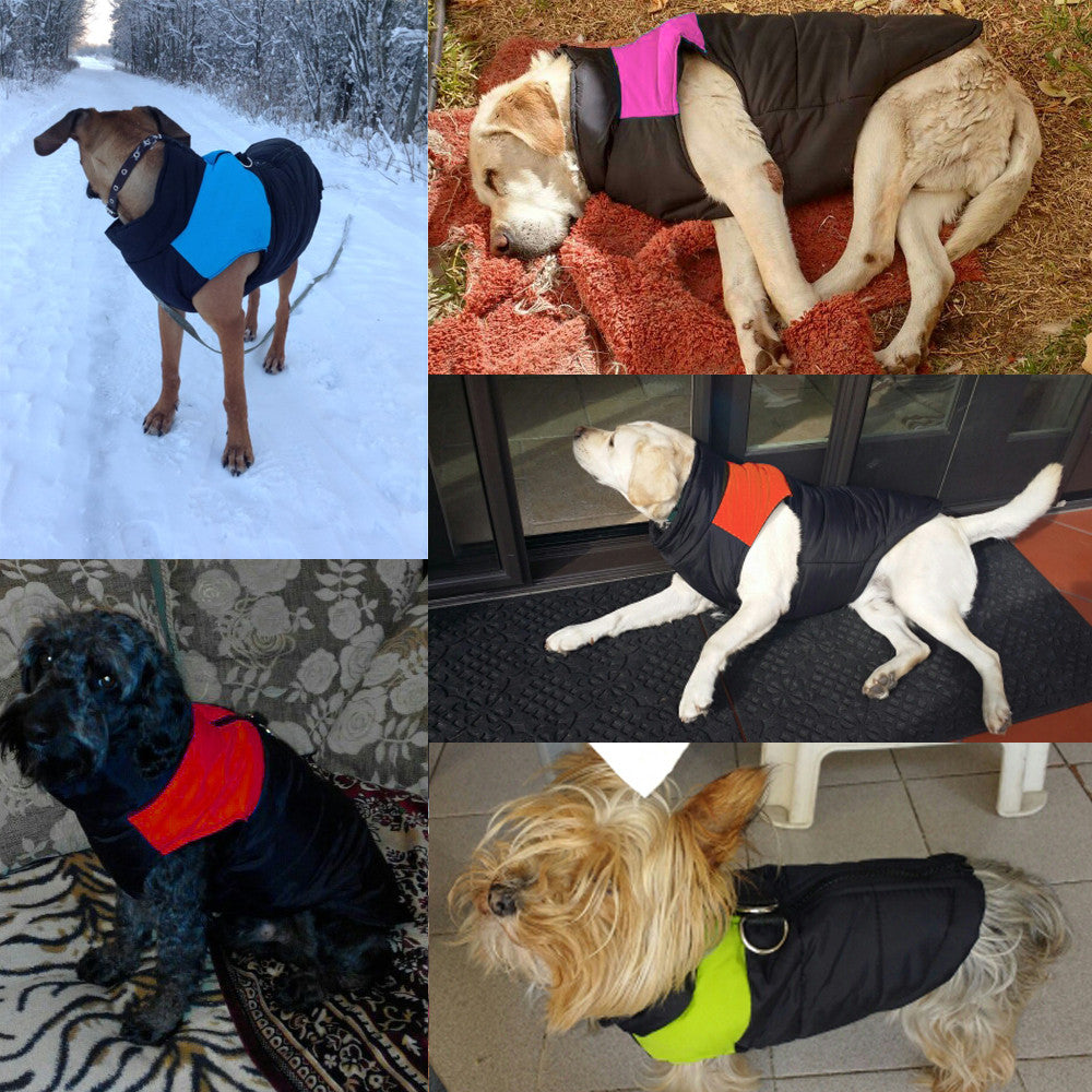 Warm and Water-Repellent Dog Coat - WarmPaws