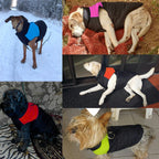 Warm and Water-Repellent Dog Coat - WarmPaws