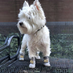 Warm Dogs Snow Boots - SnowPaws