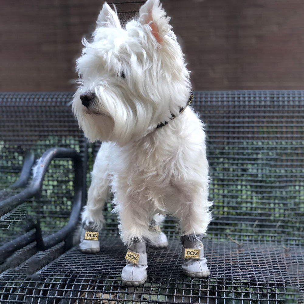 Warm Dogs Snow Boots - SnowPaws