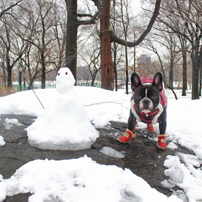 Warm Dogs Snow Boots - SnowPaws