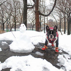 Warm Dogs Snow Boots - SnowPaws