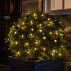 Christmas Decorations Outdoor Fairy Lights