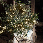Christmas Decorations Warm White Fairy Lights