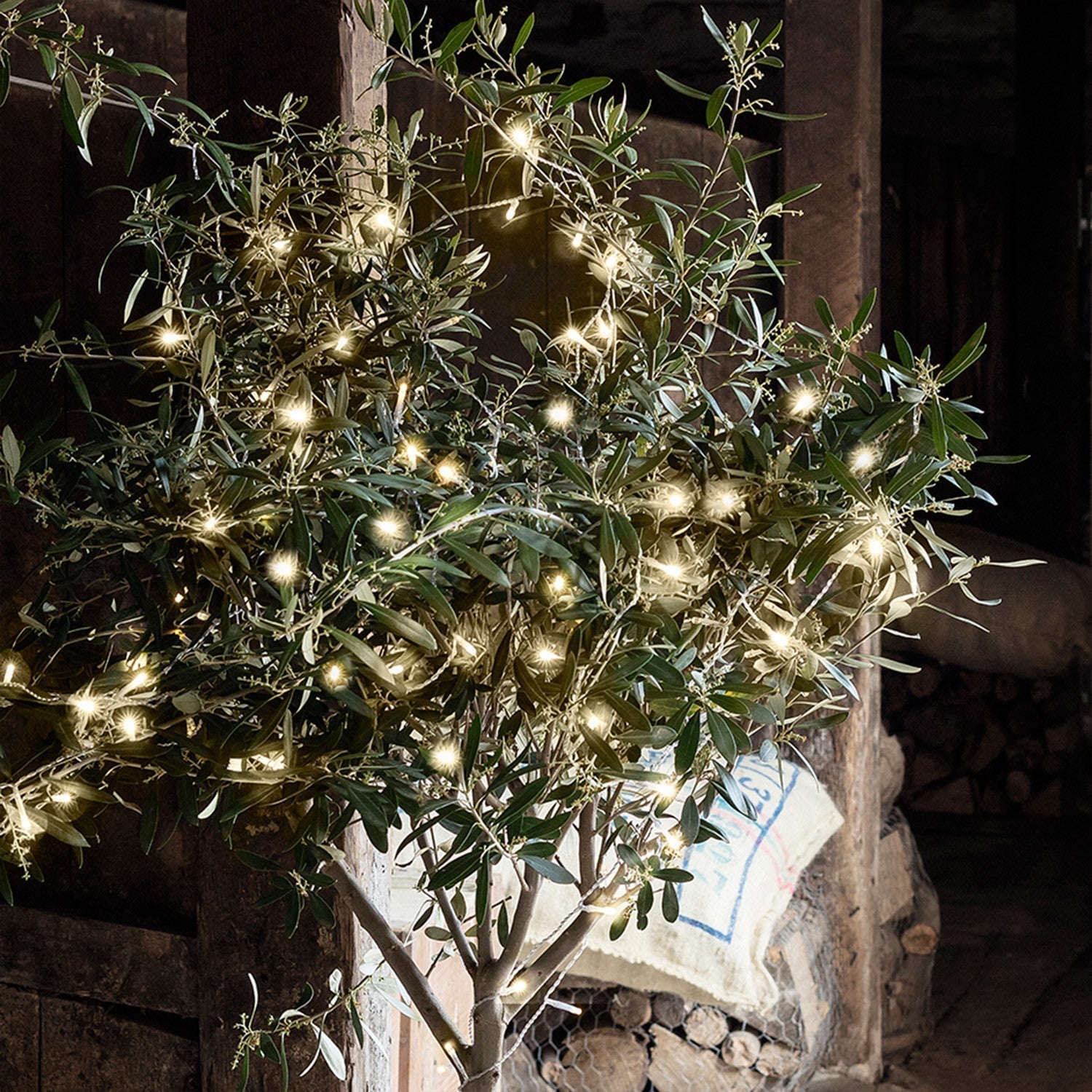 Christmas Decorations Warm White Fairy Lights