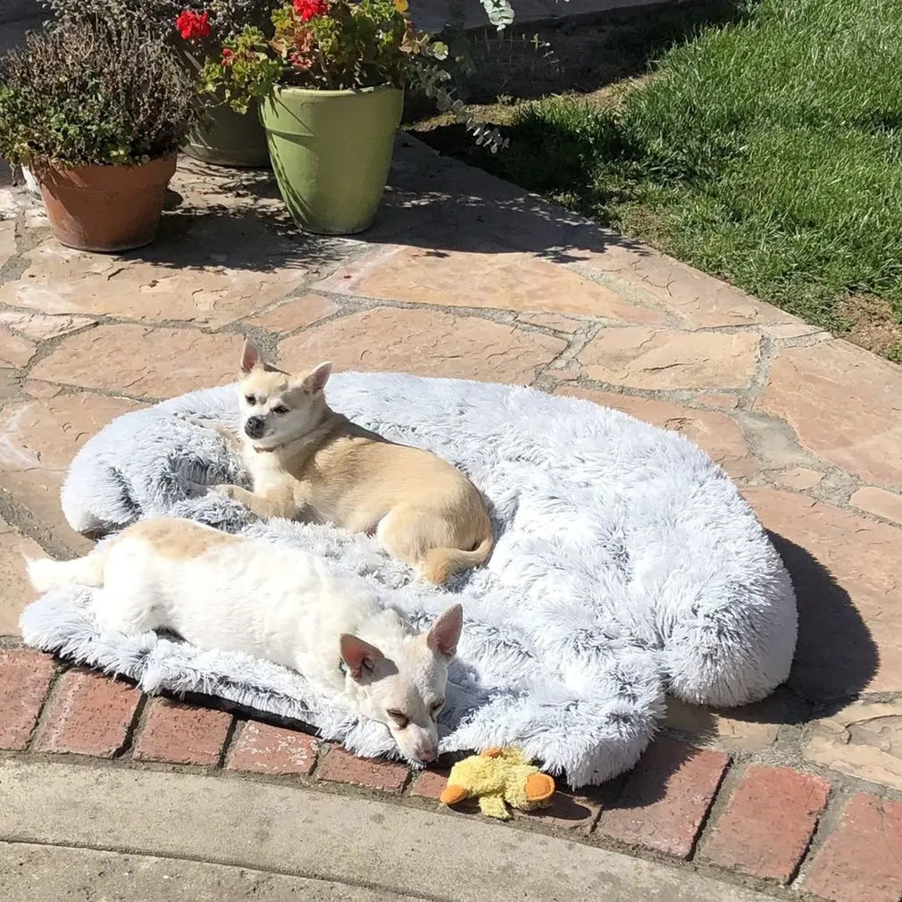 Washable Pet Sofa Blanket - PlushNest
