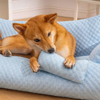 Washable Plush Pet Cushion Bed - CozyPaws