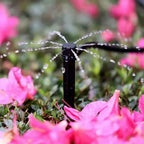 AquaLux Elite Irrigation System | Effortless garden watering for lush, vibrant landscapes