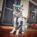 WeatherGuard - Dog Waterproof Raincoat