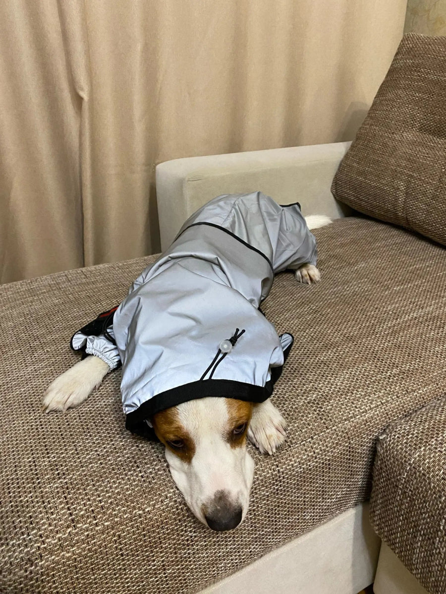 WeatherGuard - Dog Waterproof Raincoat