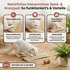 Scratching pillow for cats with catnip durable and sturdy