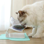 Whisker-Friendly - Raised Cat Bowl