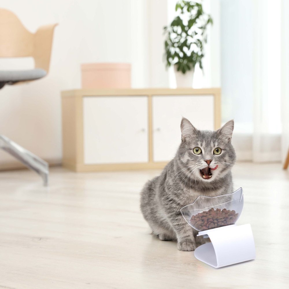 Whisker-Friendly - Raised Cat Bowl