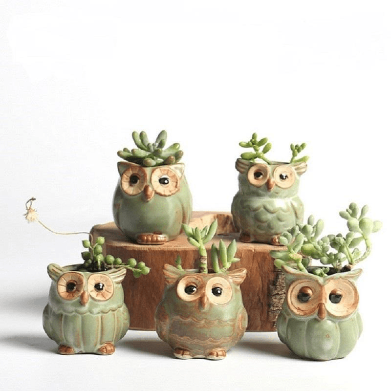 Owls Ceramic Flower Pot Set 5-piece