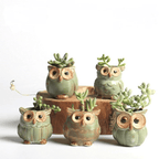 Owls Ceramic Flower Pot Set 5-piece