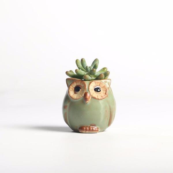Owls Ceramic Flower Pot Set 5-piece