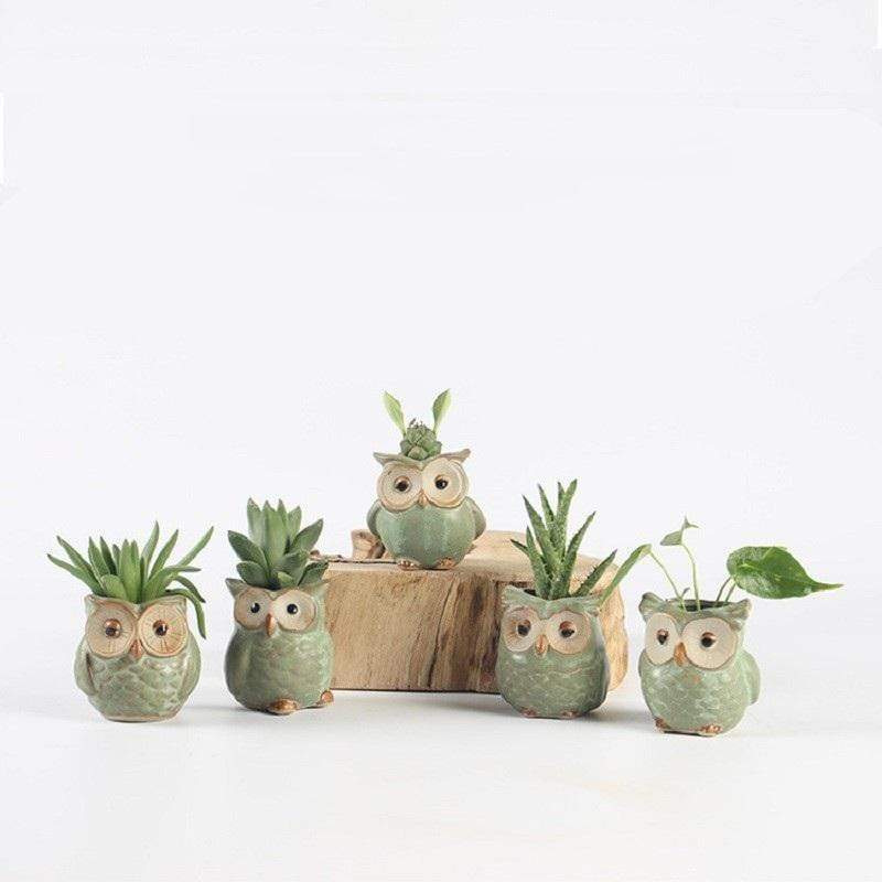 Owls Ceramic Flower Pot Set 5-piece