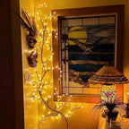Brighten your garden - Natural beauty - Cozy atmosphere - Wine and light