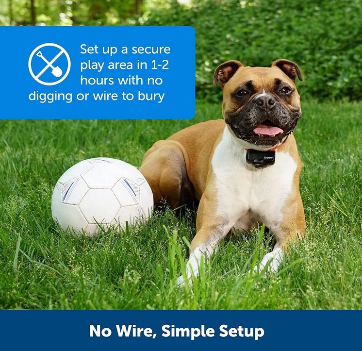 Wireless Dog Fence Collar System | Waterproof, Rechargeable & Ideal for Home Training and Outdoor Adventures