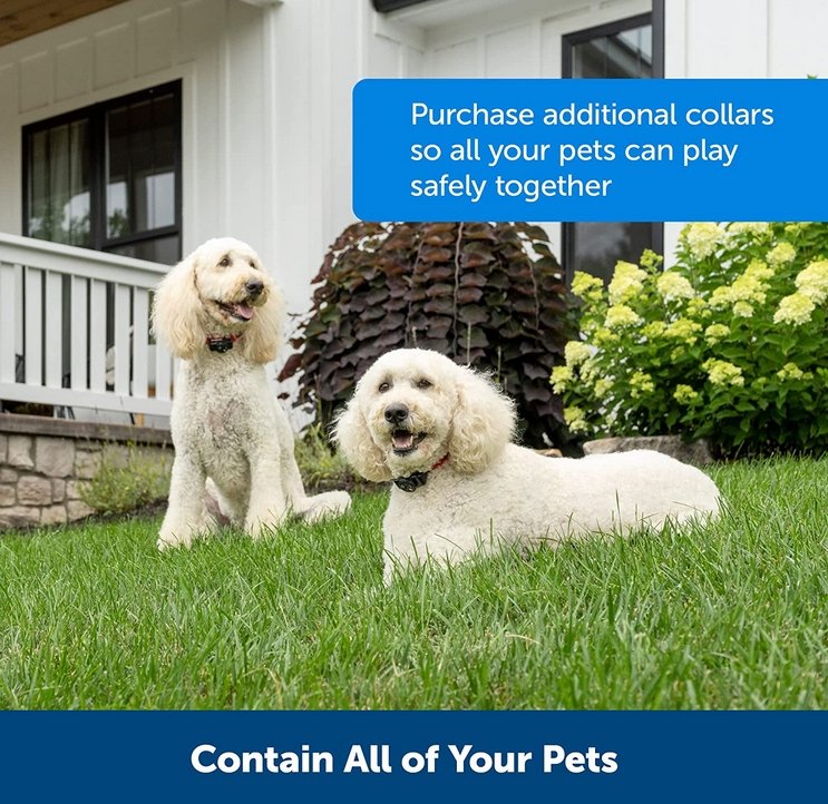 Wireless Dog Fence System – Rechargeable Waterproof Collar for Safe Boundaries
