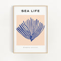 Sea Life No. 1