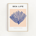 Sea Life No. 1