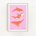 Dolphines