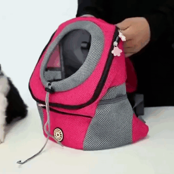 PawCarry – Together everywhere on the go