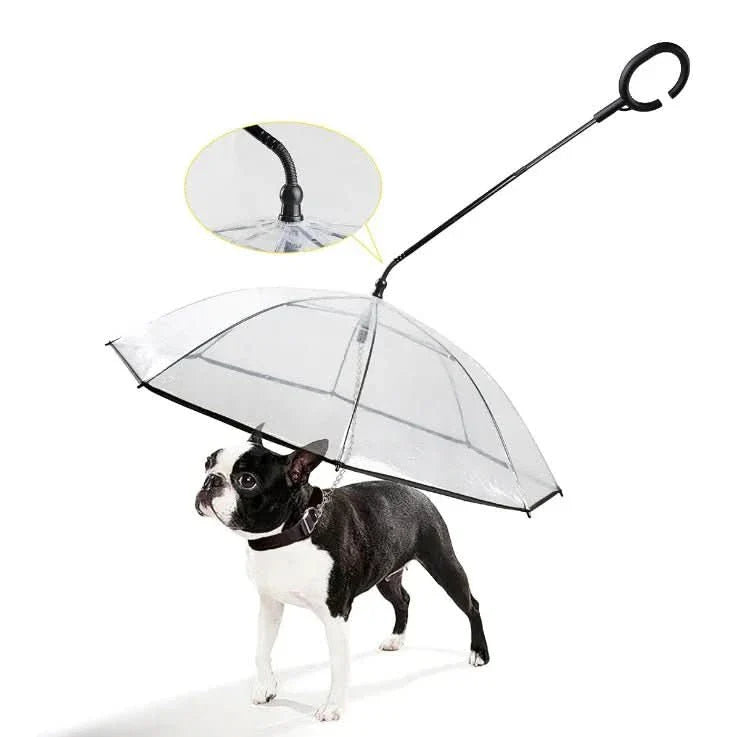 Transparent Dog Umbrella for Dry Walks in the Rain