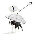 Transparent Dog Umbrella for Dry Walks in the Rain
