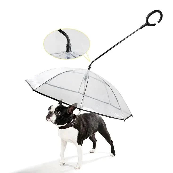 Transparent umbrella for dogs